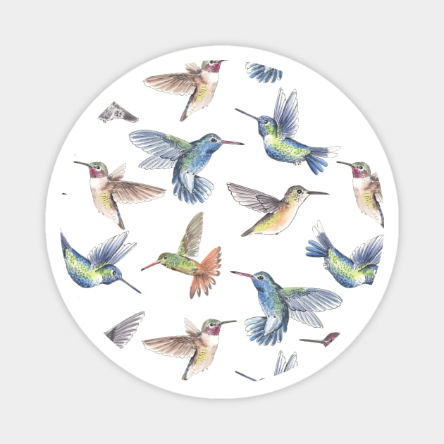 Hummingbirds Magnet by katerinamk